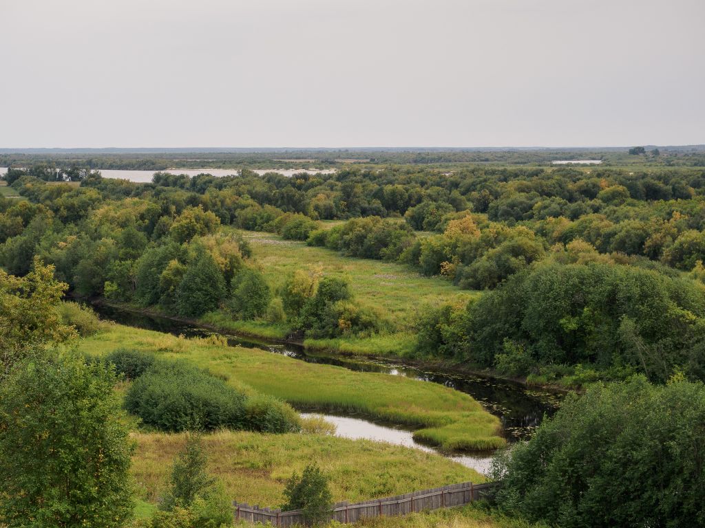 За городом все начало желтеть