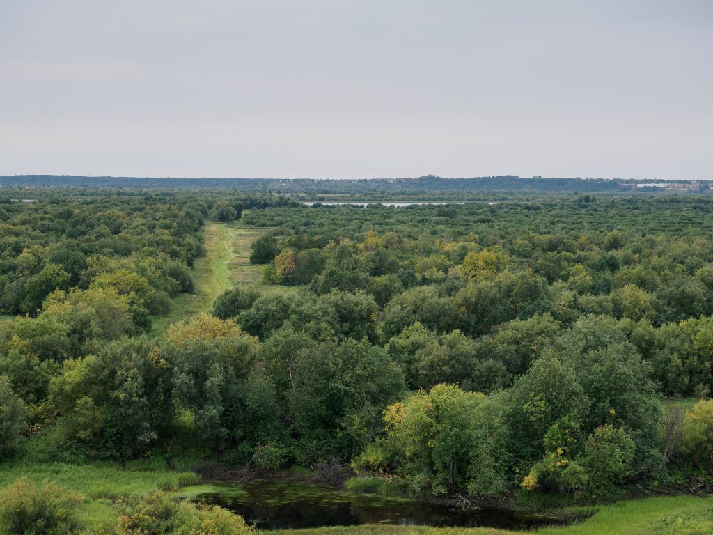 За городом все начало желтеть