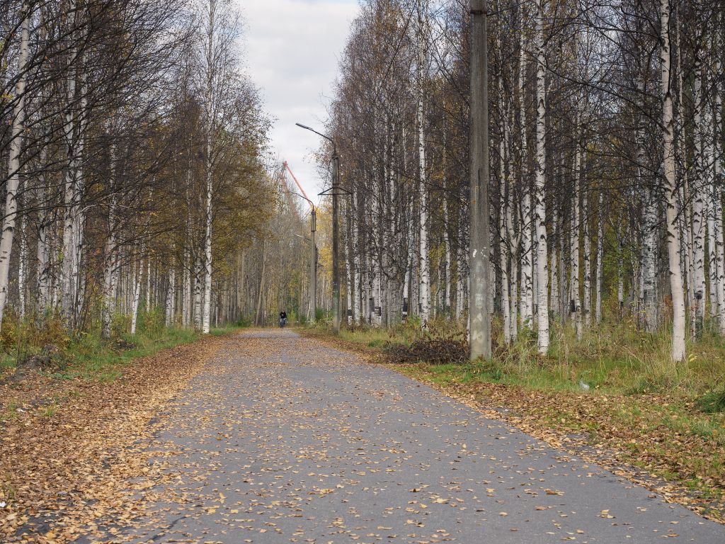 Дорожки городского парка