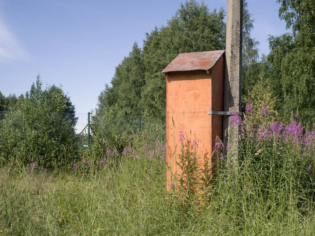 Полянки