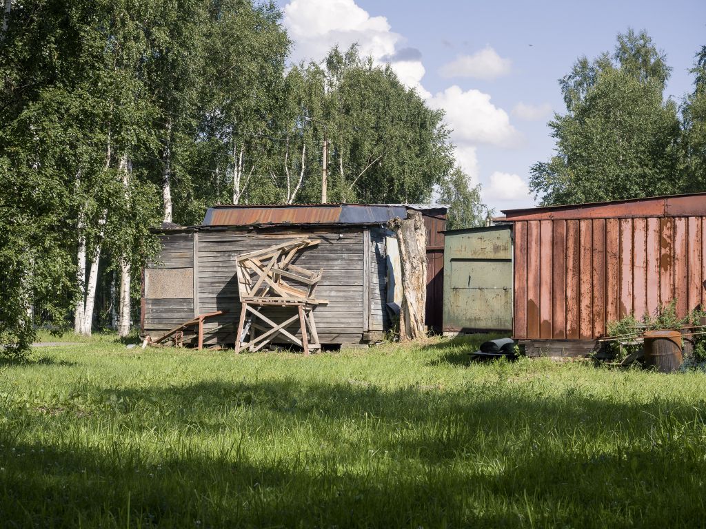 Зелень уходящего лета