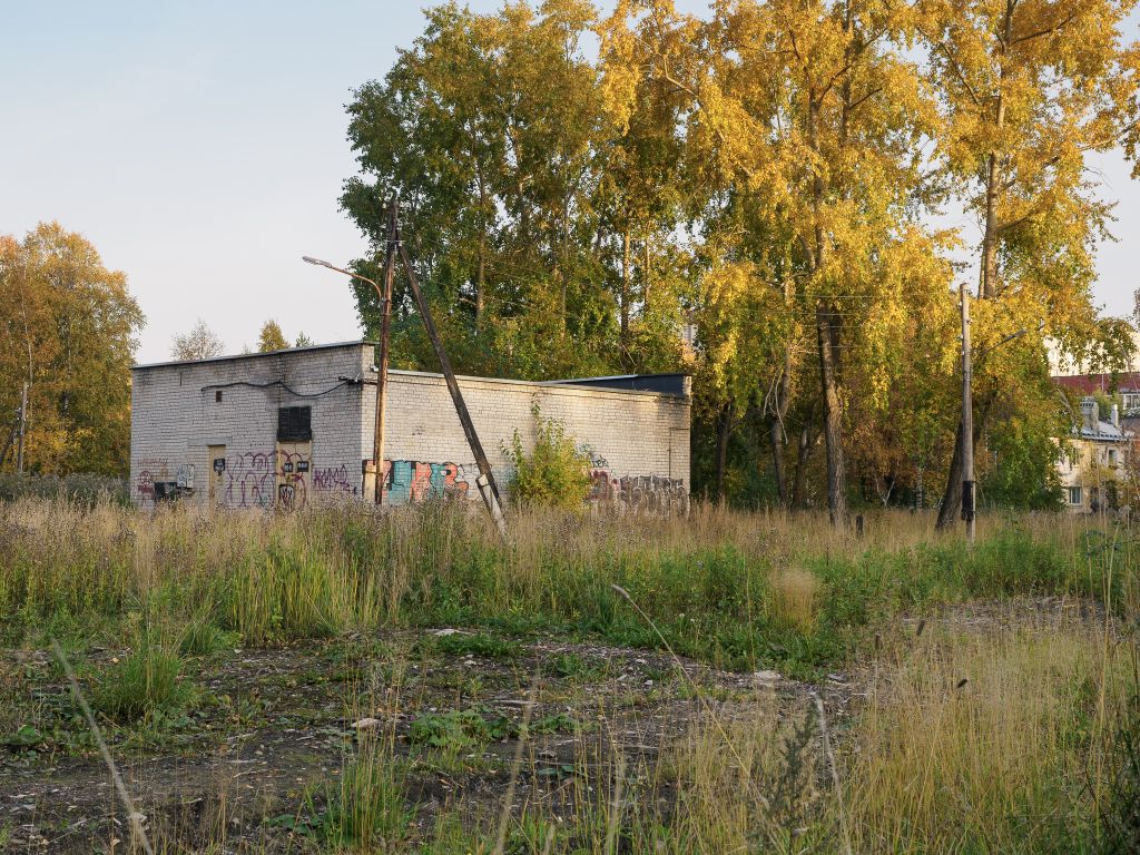 Пустыри старого города