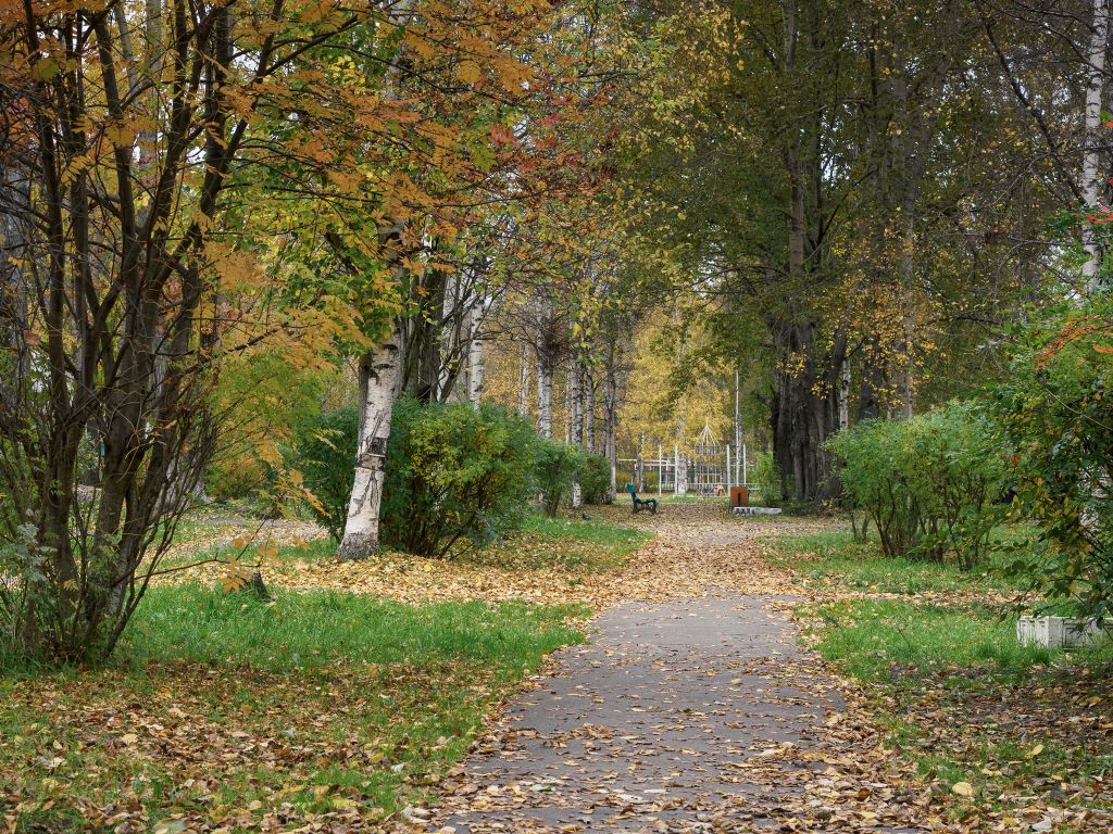 Борьба лета и осени