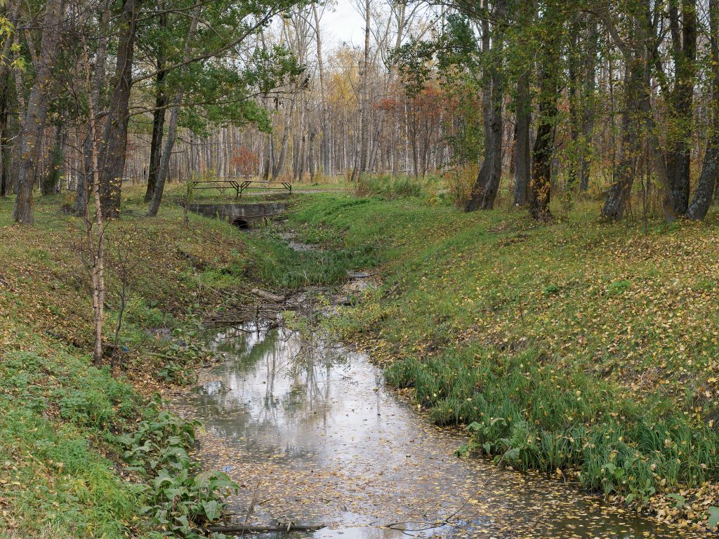 Неухоженный городской парк