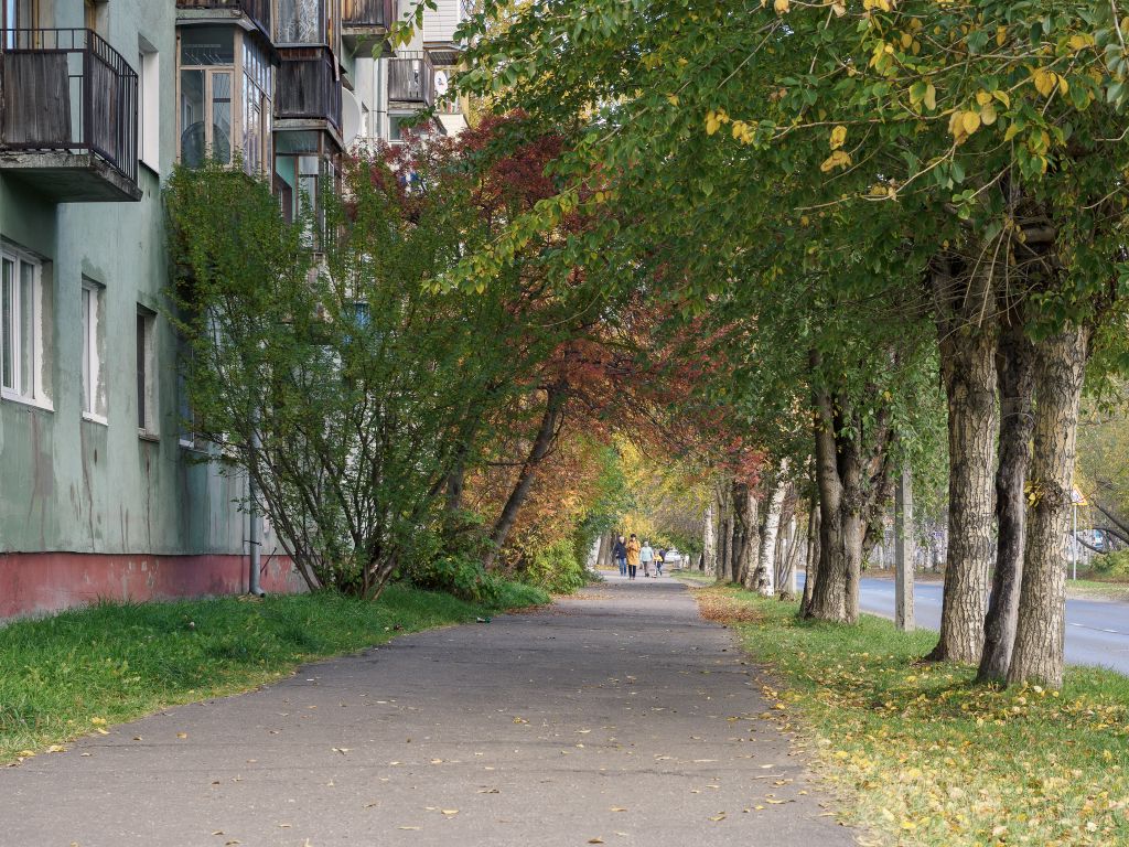 От ранней к поздней осени