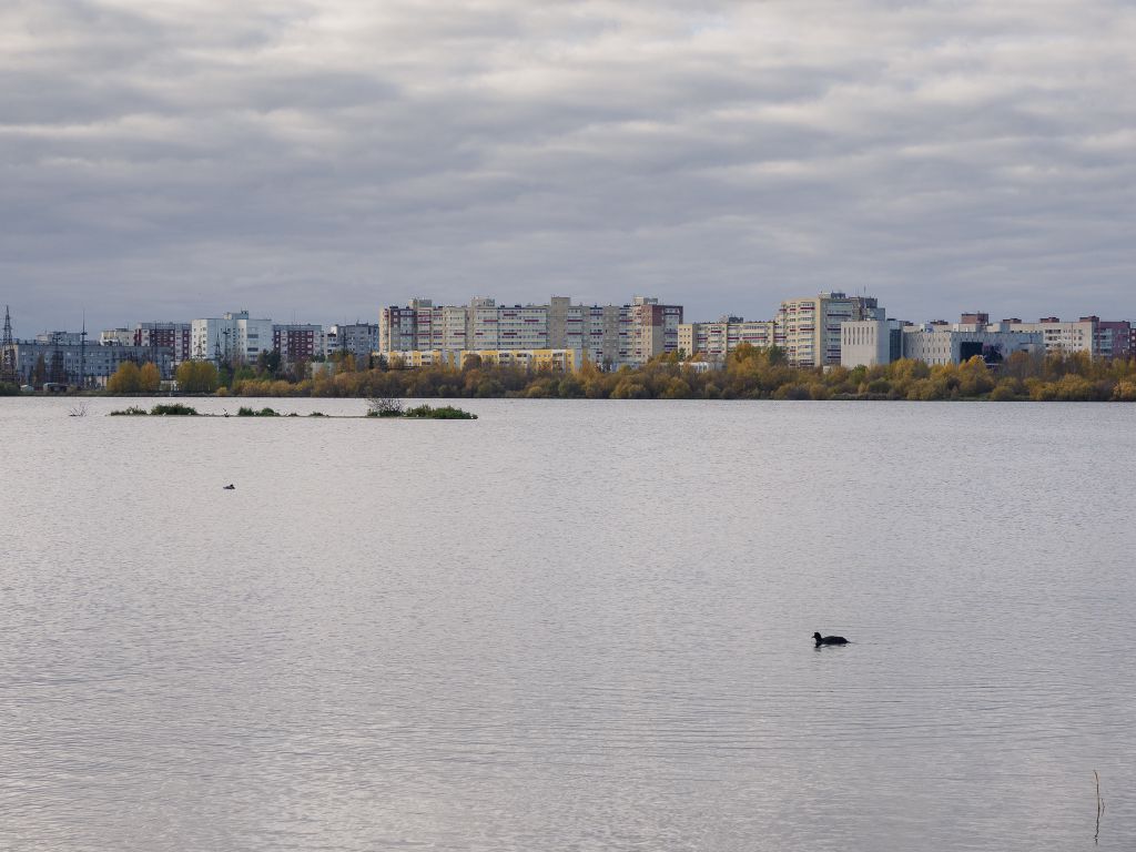 Погружение в осень